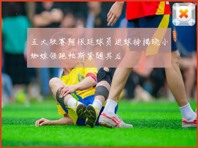 五大联赛阿根廷球员进球榜揭晓小蜘蛛领跑帕斯紧随其后