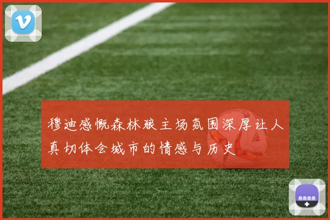 穆迪感慨森林狼主场氛围深厚让人真切体会城市的情感与历史