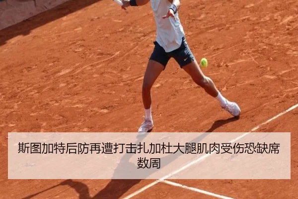 斯图加特后防再遭打击扎加杜大腿肌肉受伤恐缺席数周 | AOASPORTS