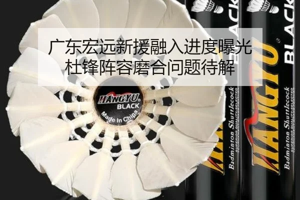 广东宏远新援融入进度曝光 杜锋阵容磨合问题待解 | AOASPORTS